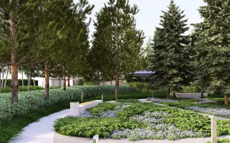 Проєкт благоустрою та озеленення території WELLNESS & SPA Lyutyzh 9