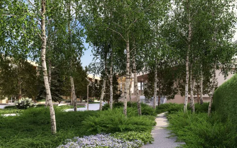 Проєкт благоустрою та озеленення території WELLNESS & SPA Lyutyzh 10